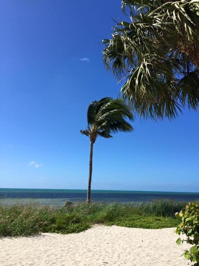 Paradise Found Cayo Hueso Extérieur photo