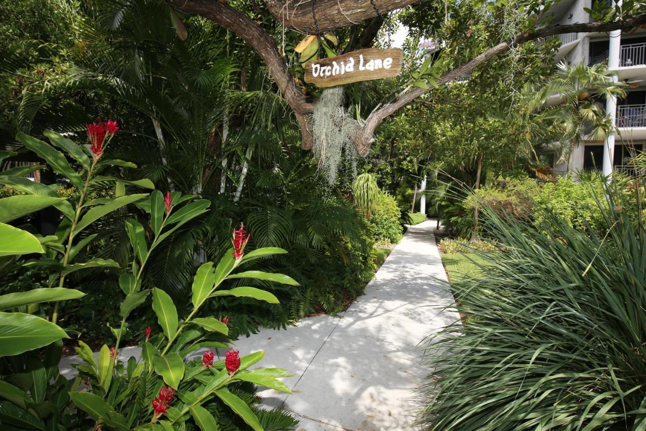 Paradise Found Cayo Hueso Extérieur photo